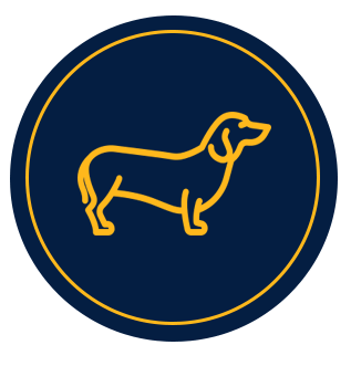 pet stain odour removal nashville, pet stain odour removal smyrna tn, carpet cleaning nashville tn, carpet cleaning smyrna tn