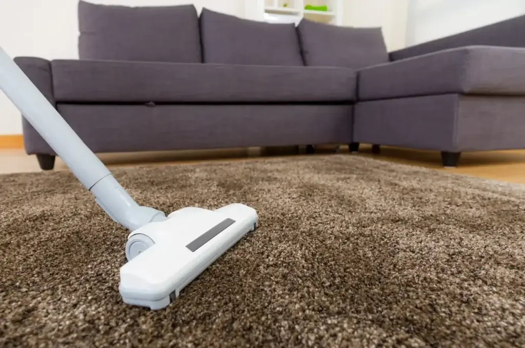 Why Businesses in Knoxville Need Regular Carpet Cleaning